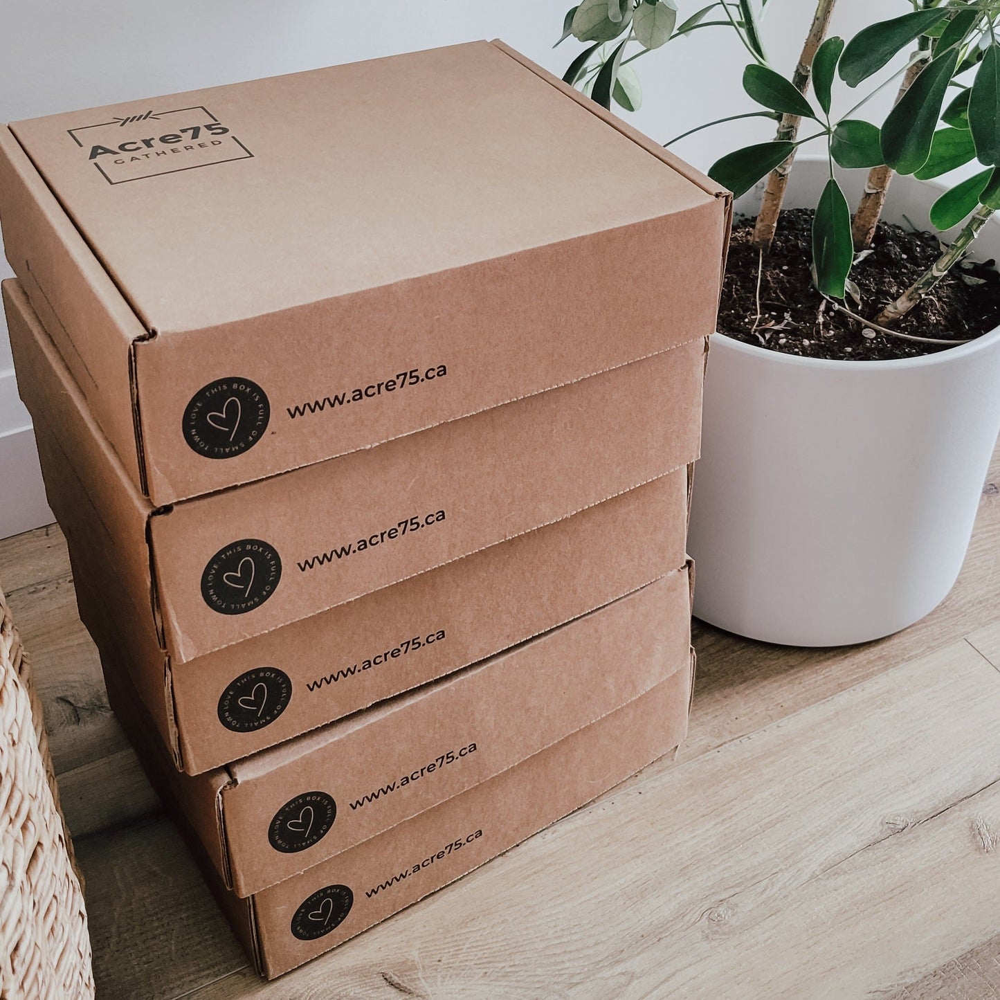 Acre75 Gathered - Recurring Pre-Paid Annual Subscription - Misc image 2