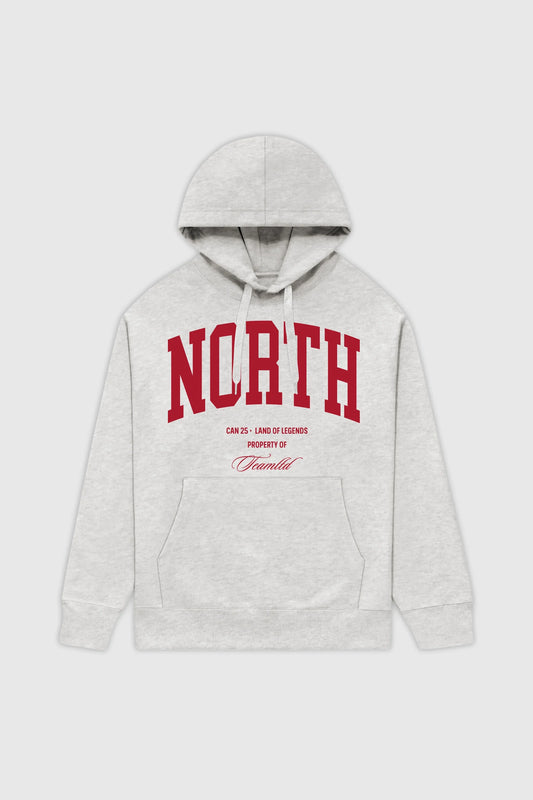 Youth NORTH Hoodie - Apparel image 1