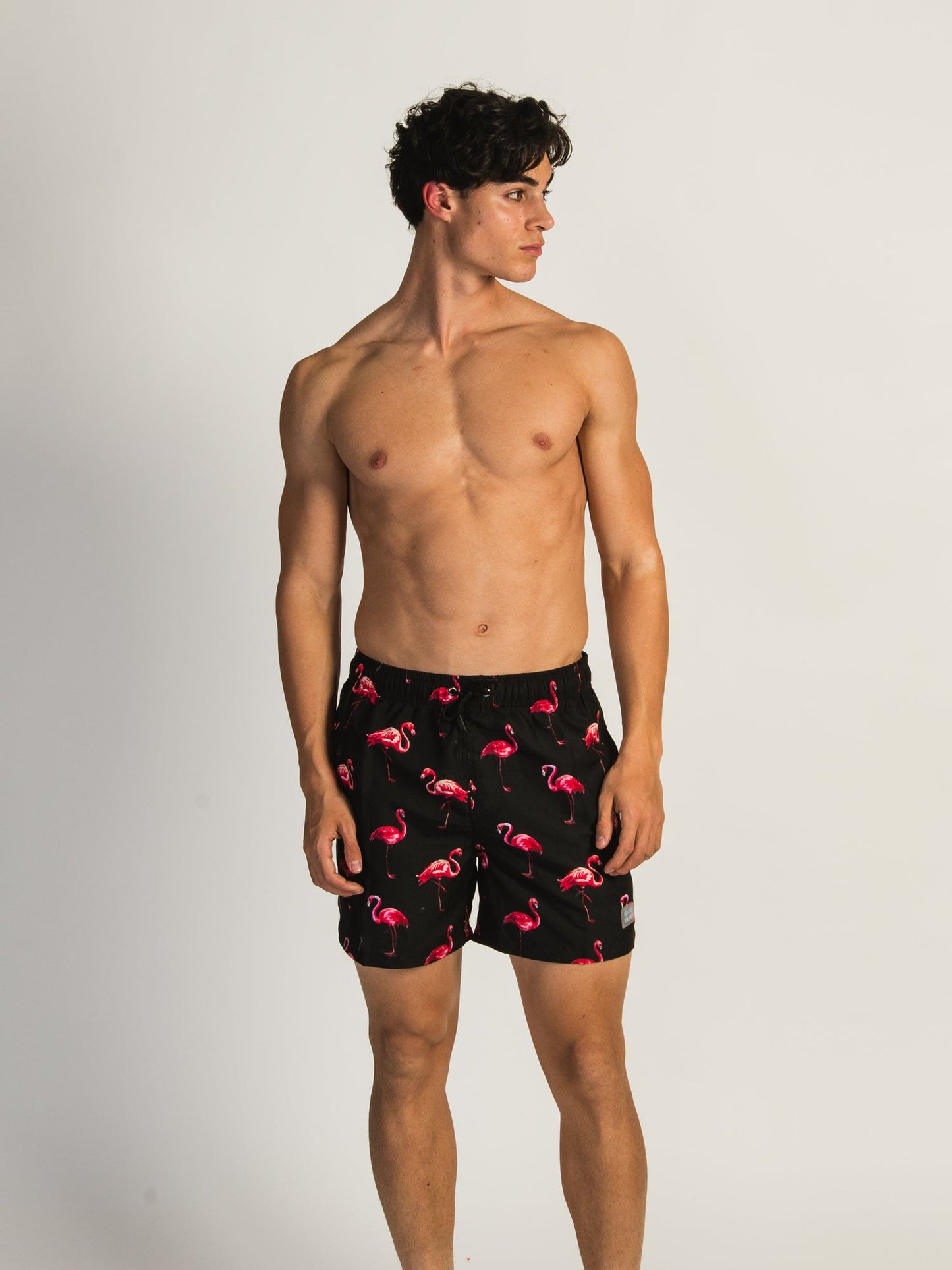 ISLAND HAZE FLAMINGO 5" VOLLEY - Misc image 5