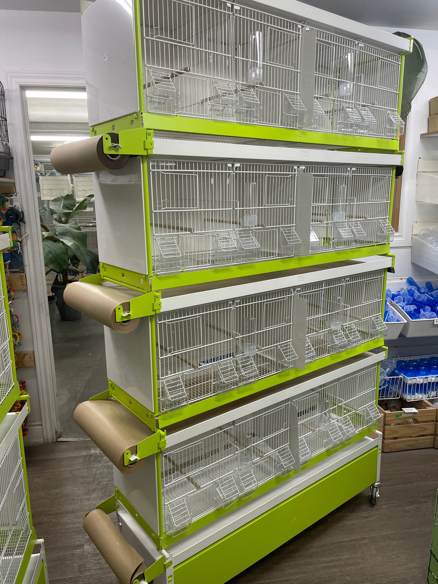 Breeding Set/4 cages+Stand WITH PAPER SYSTEM - Bedding image 3