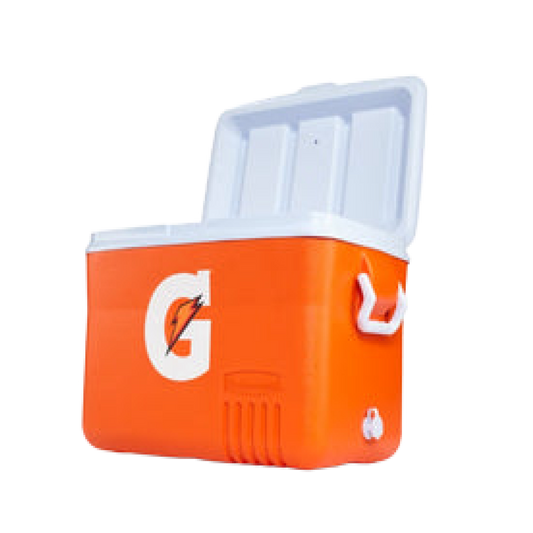 Regular Ice Chest - Furniture image 1