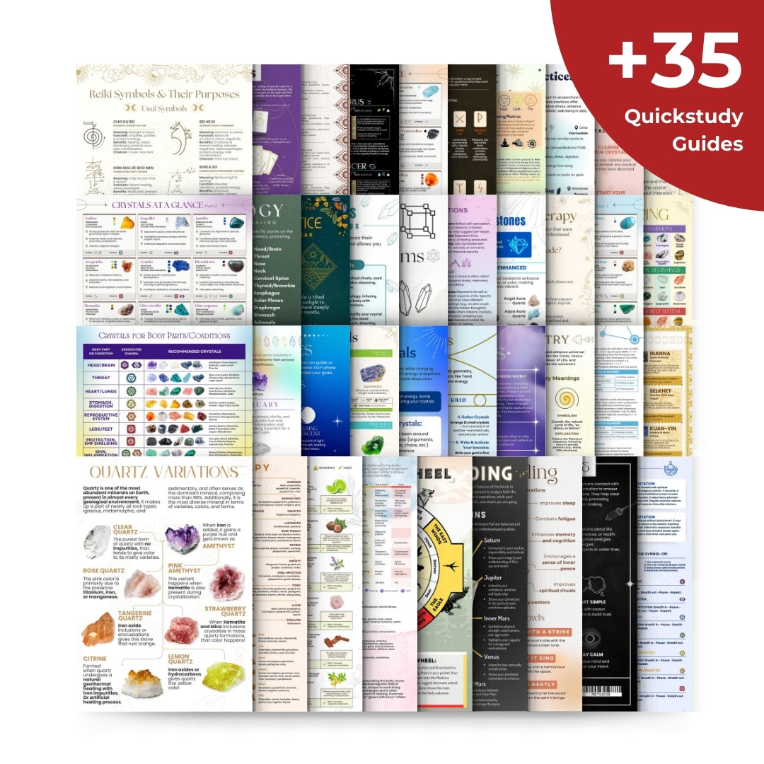 QuickStudy Guide 2.0 - Complete Bundle (Hardcopy, 1x of each) - Misc image 1