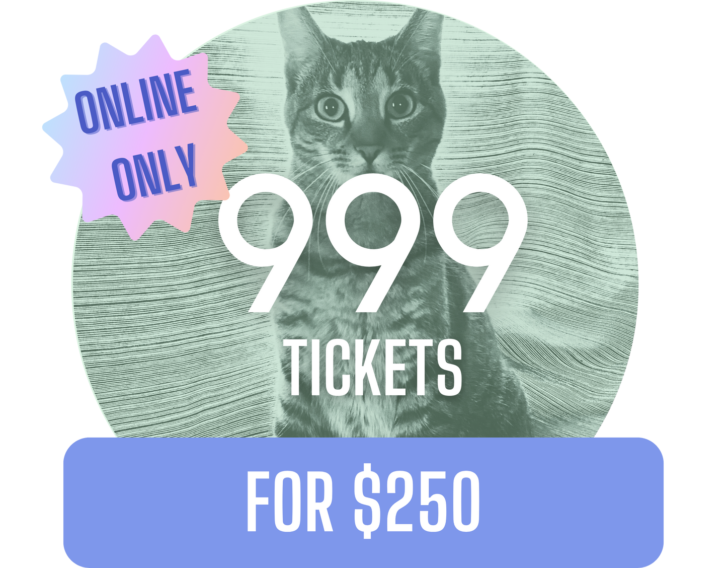 999 for $250 - Misc image 3