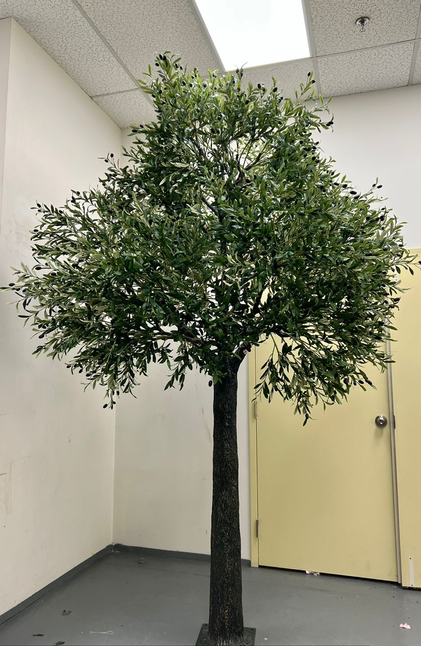 8ft Artificial Olive Tree rental - Home Decor image 2
