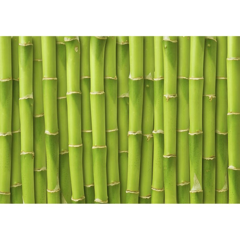 100% Rayon 300TC from Bamboo Sateen Sheet Set from Twin Ducks - Bedding image 6