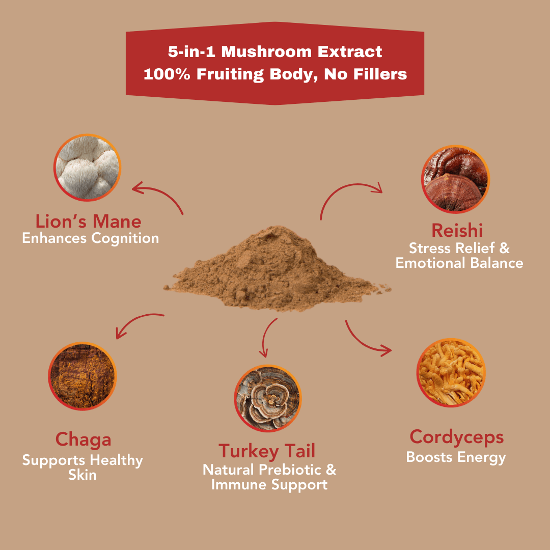 5 Mushroom POWER Extracts Blend - Misc image 3