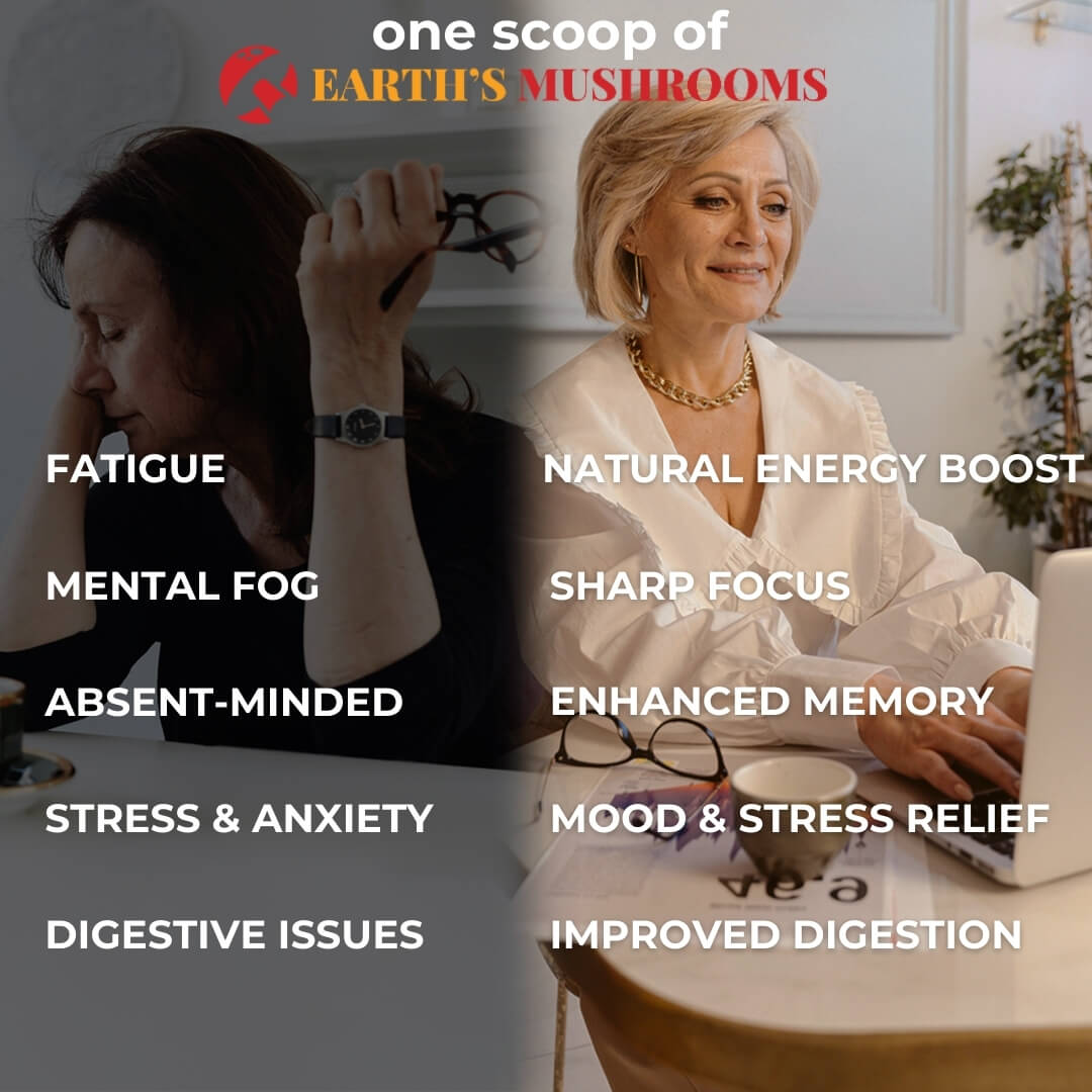 5 Mushroom POWER Extracts Blend - Misc image 2