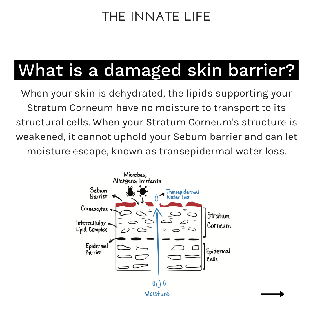 NEROLI BODY OIL - Kitchen & Dining image 7