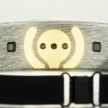 Muse S Athena Premium Subscription Bundle - Misc image 10