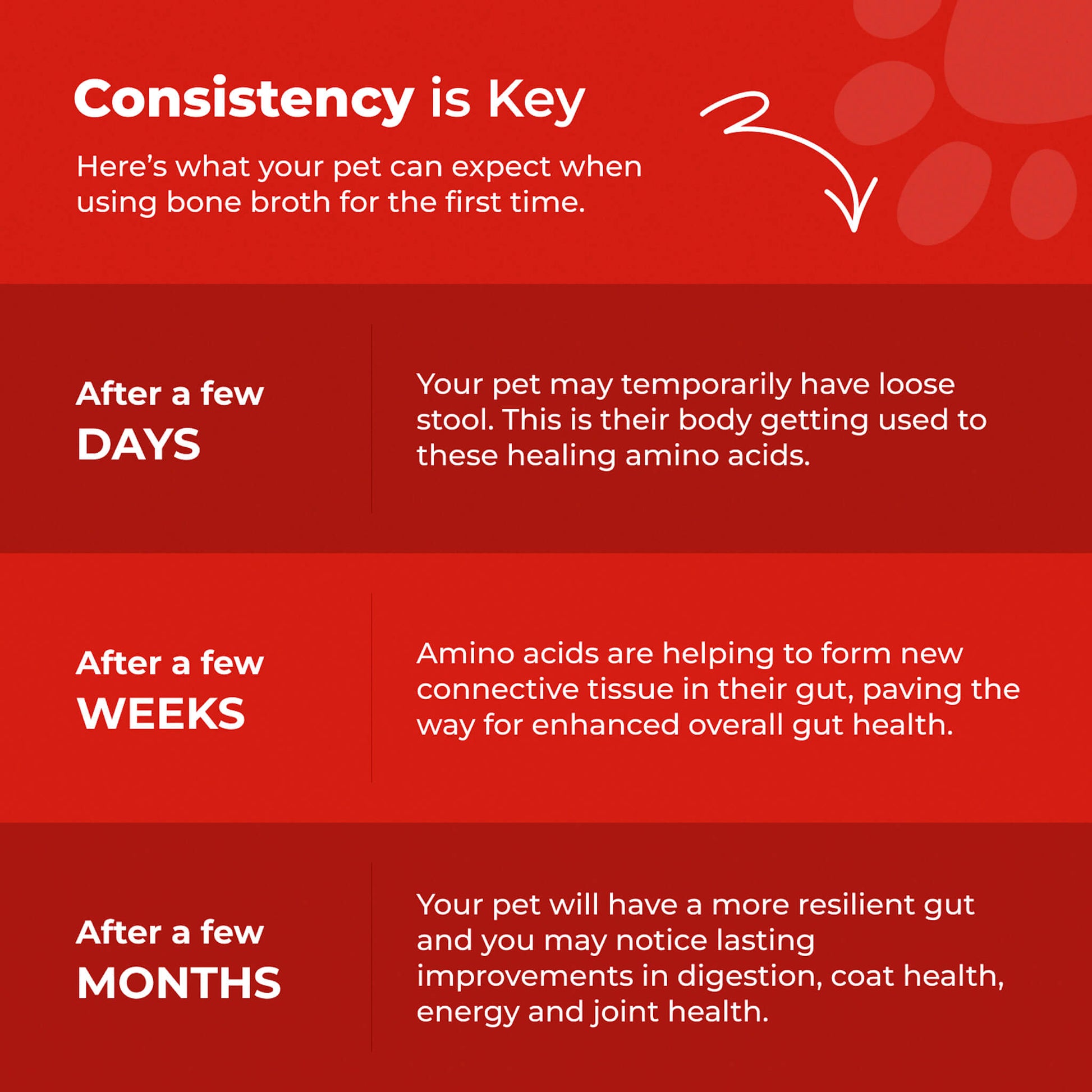 Bone Broth For Dogs & Cats - Misc image 21