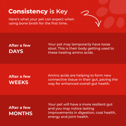 Bone Broth For Dogs & Cats - Misc image 21