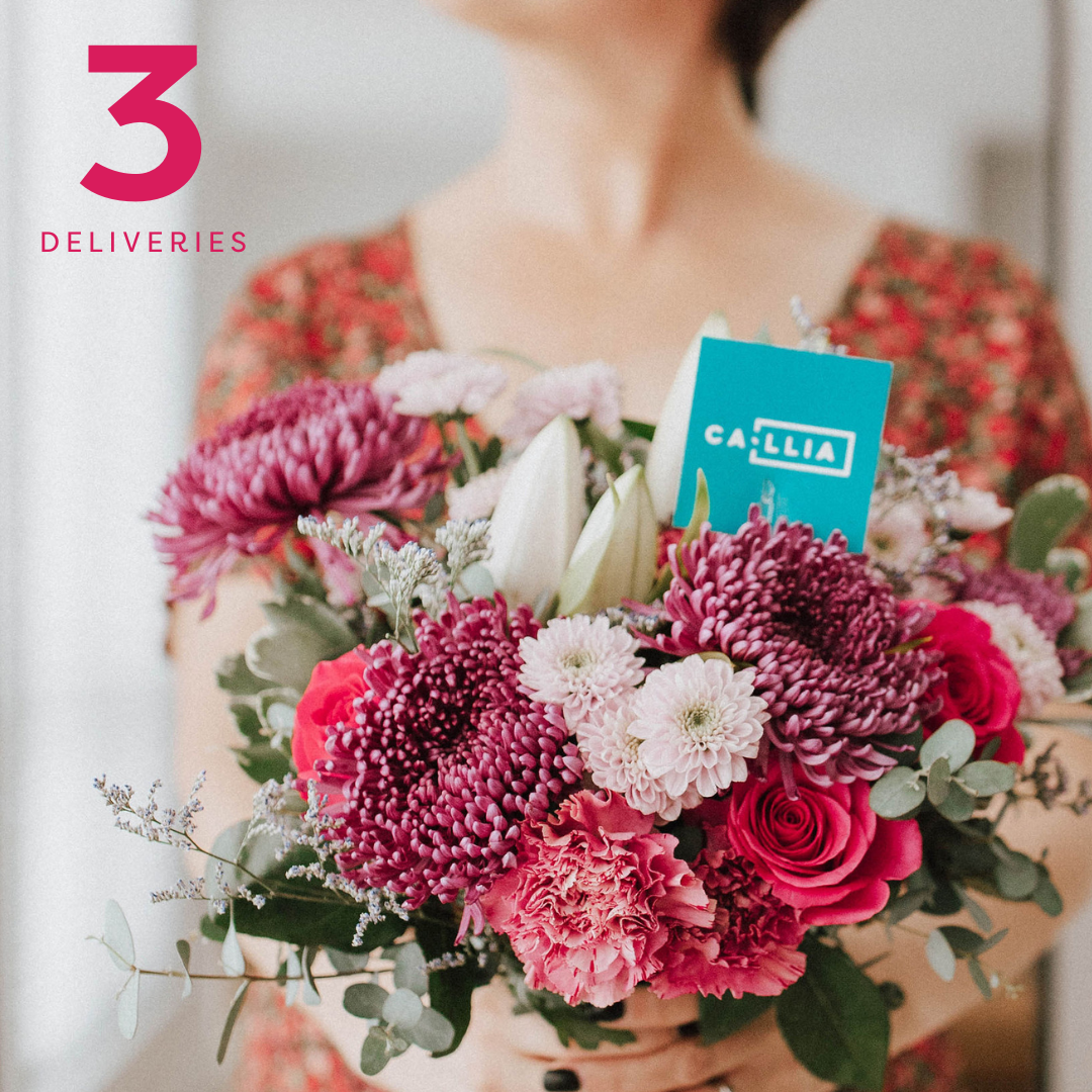 Summer Subscription - Misc image 1