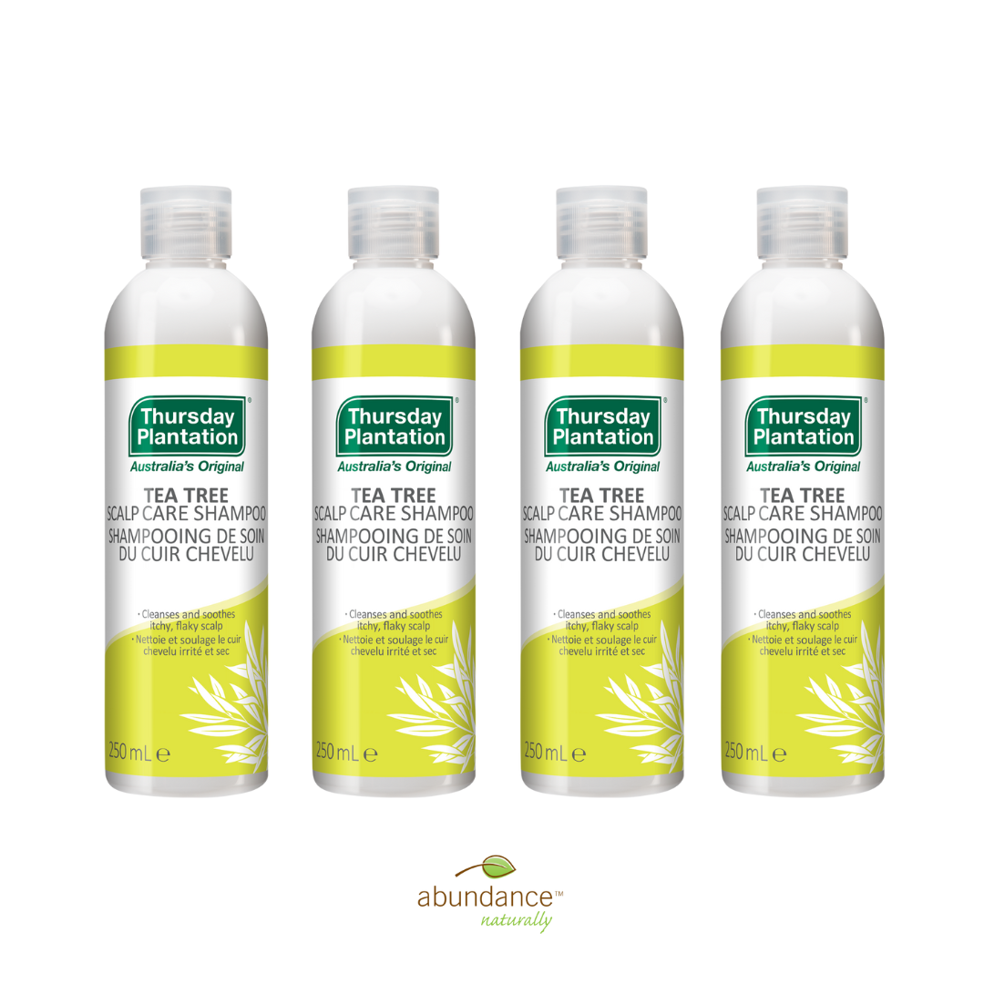 Tea Tree Scalp Care Shampoo 4 x 250mL Pack - Beauty image 1
