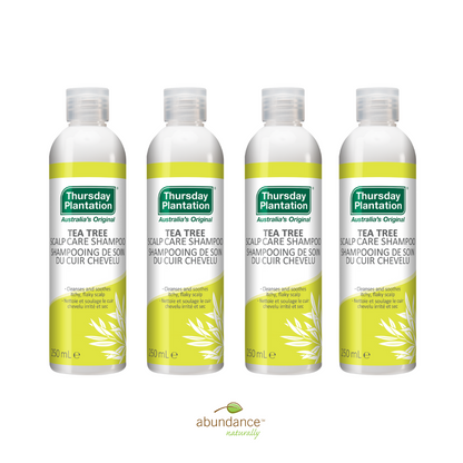 Tea Tree Scalp Care Shampoo 4 x 250mL Pack - Beauty image 1