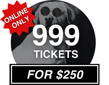 999 for $250 - Misc image 1