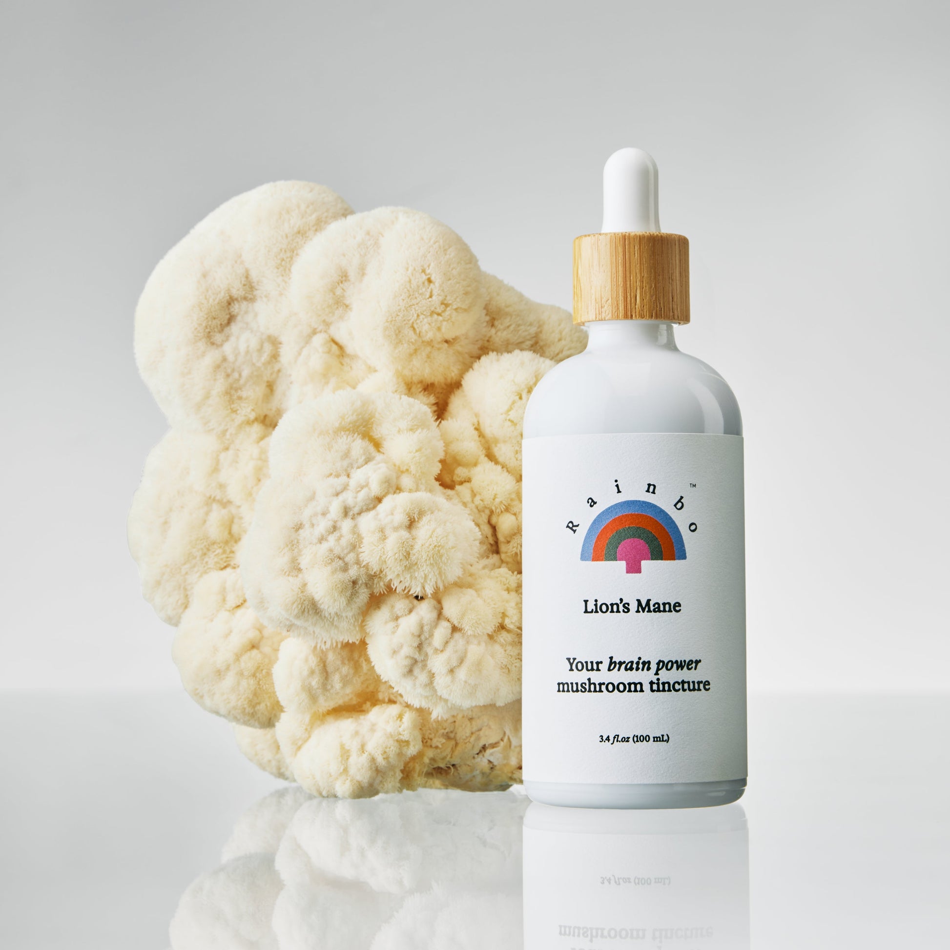 Lion's Mane - Kitchen & Dining image 2