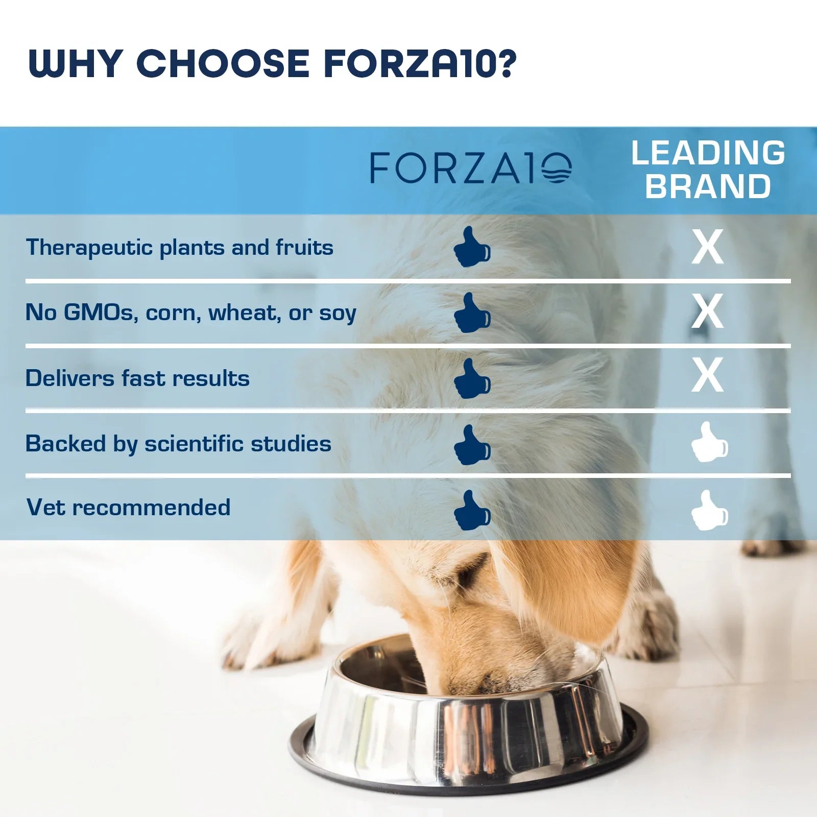 Forza10 Nutraceutic Active Intestinal Support Diet Dry Dog Food - Misc image 6