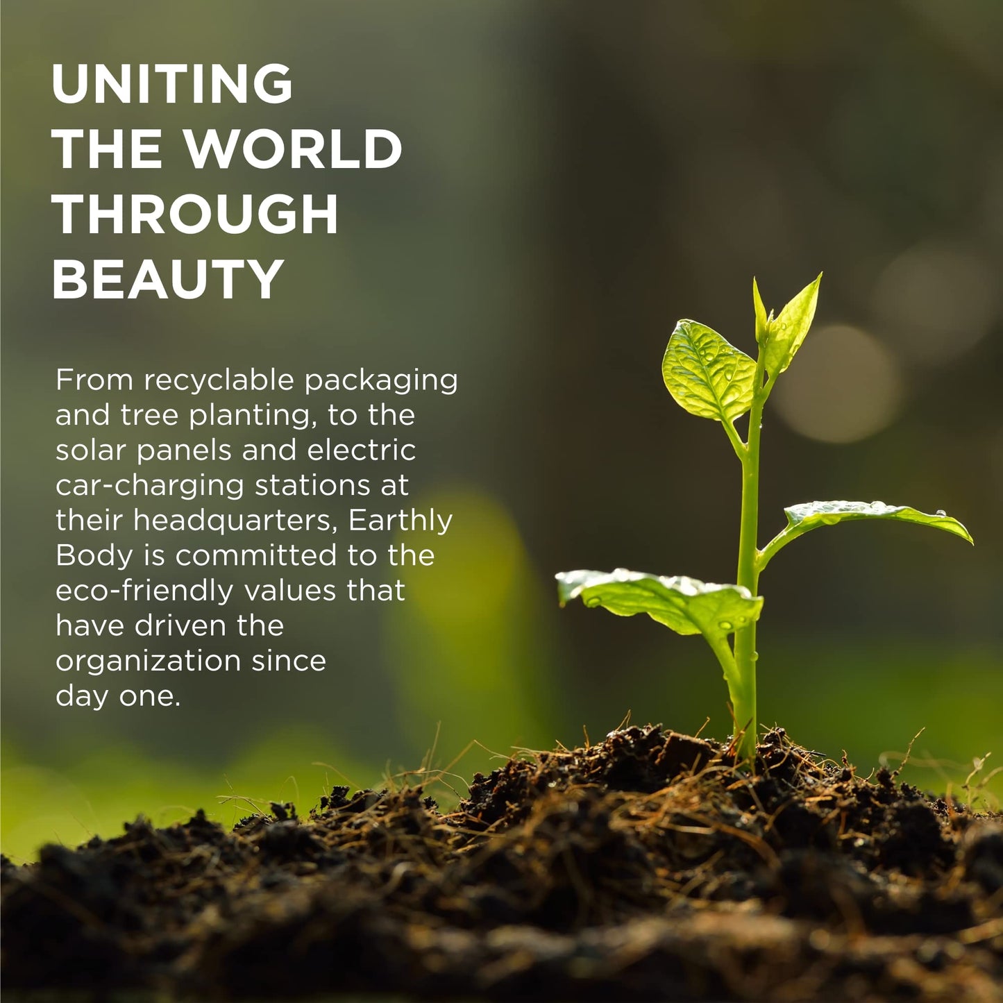 MKS eco Endz, Original Scent - 4 fl oz - Split End Mender & Preventer - Moroccan Argan Oil, Hemp Seed Oil - Vegan & Cruelty Free - Misc image 2