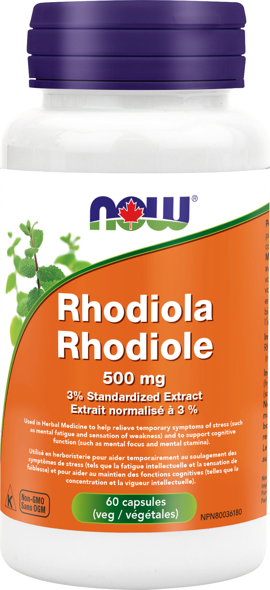Rhodiola (Arctic Root) 500mg - Furniture image 1