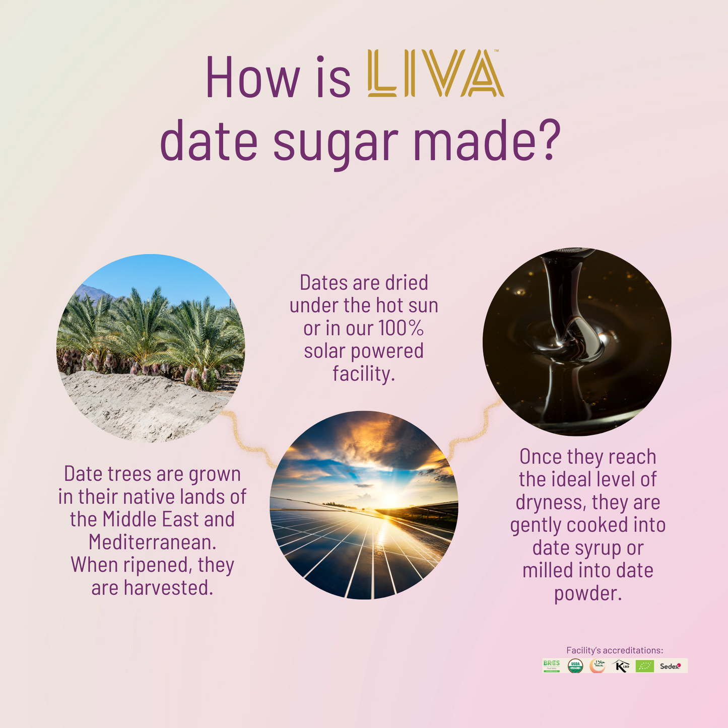 DATE SUGAR, 6 X 1KG - Kitchen & Dining image 9