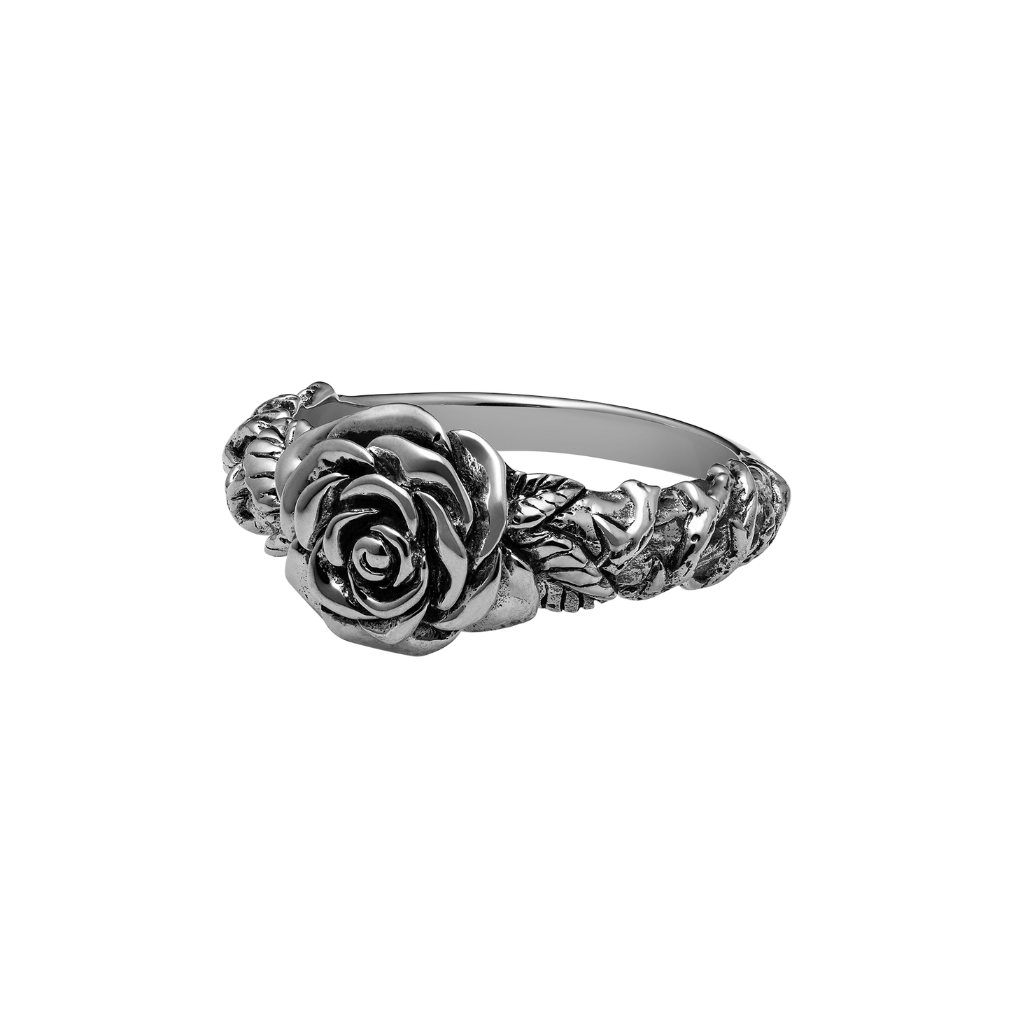 All Apologies - Misc image 1