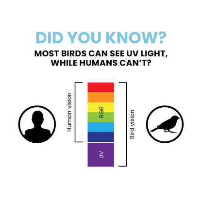 Bird Divert™ UV 1ft x 75ft - Misc image 7