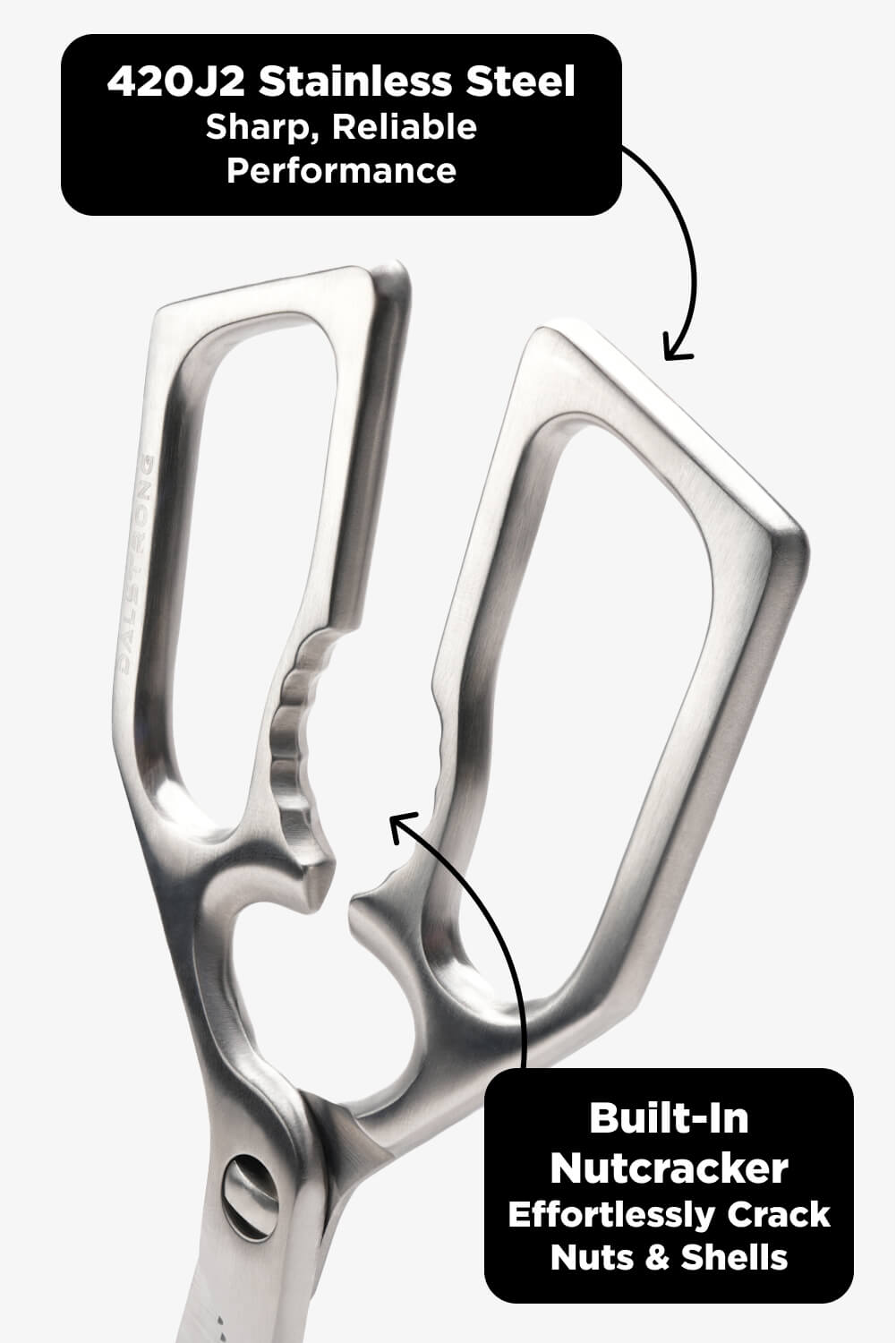 Scissors + Pizza Wheel | Dalstrong © - Misc image 9