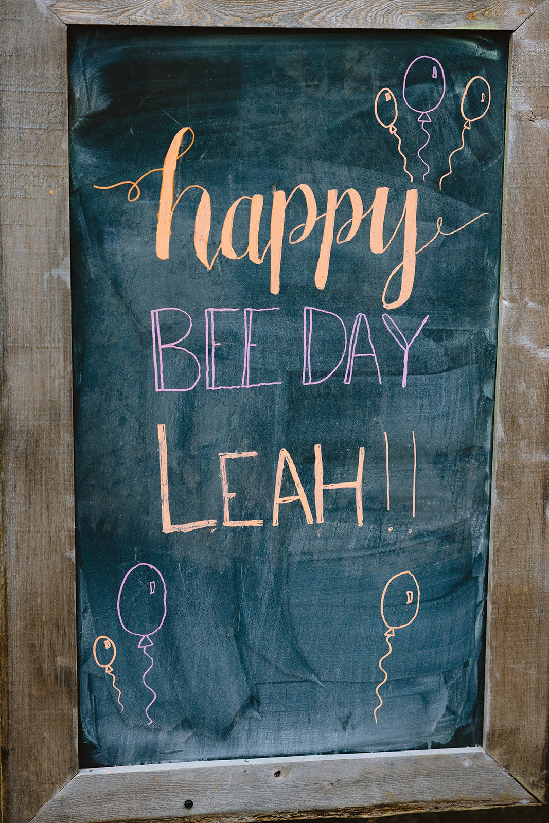 Birthday Parties 2025 - Misc image 4