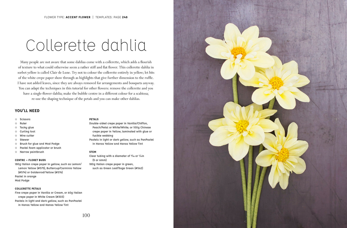 Paper Flower Art (Hardback Book), Signed by Jessie - Kitchen & Dining image 5