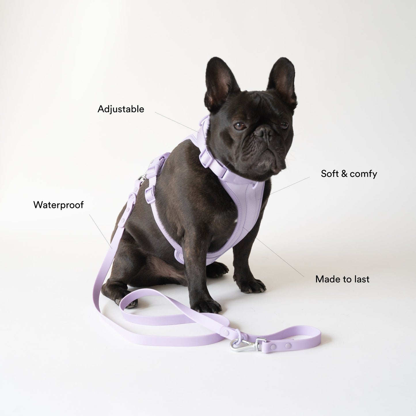 Lilac Harness and Leash Set - Furniture image 3