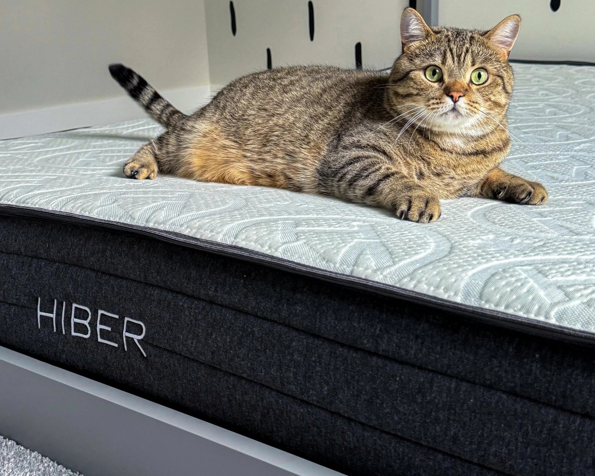 HIBER Mattress - Misc image 9