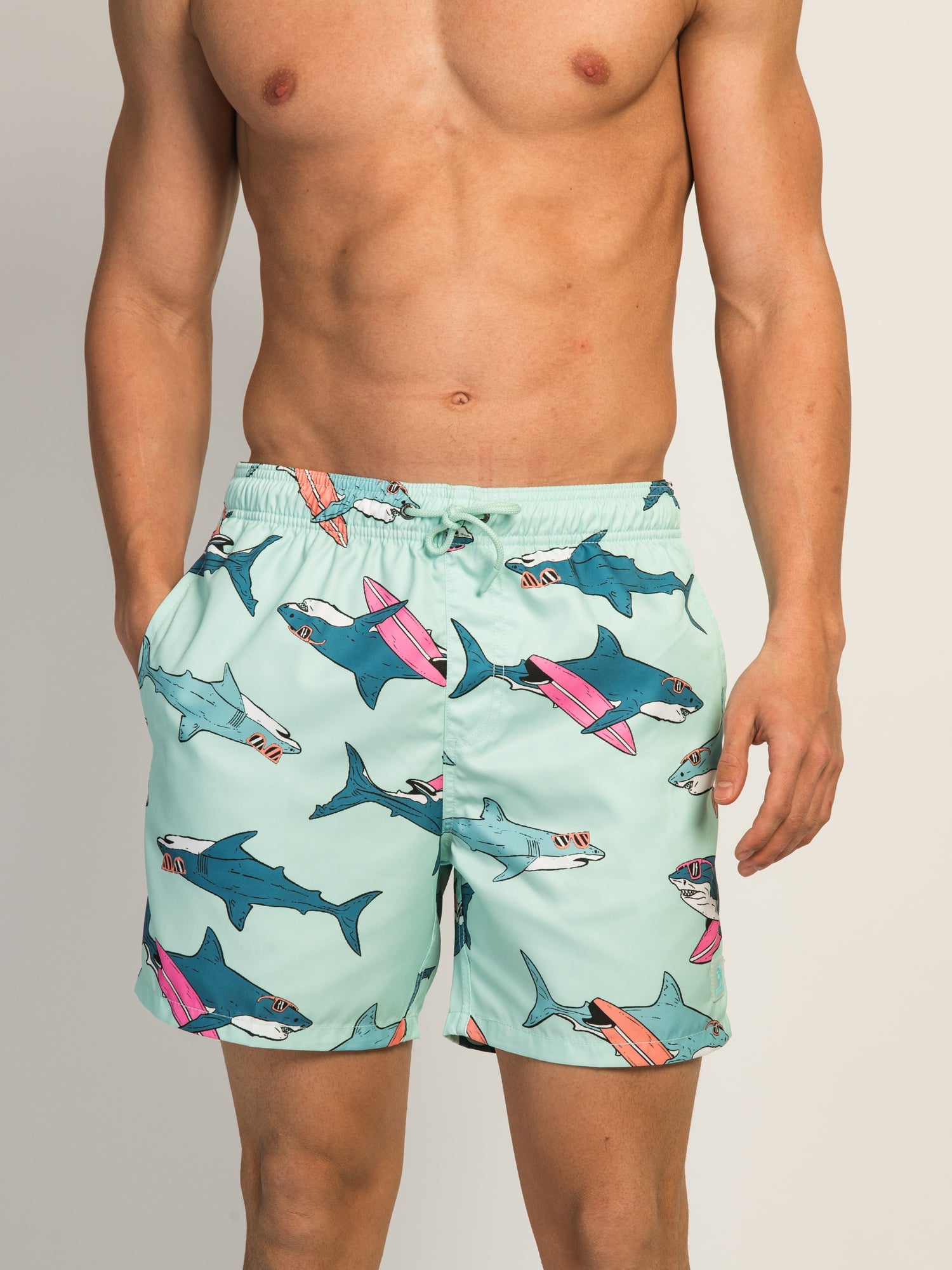 ISLAND HAZE SURFING SHARK 5IN VOLLEY SHORT - AQUA - Misc image 2