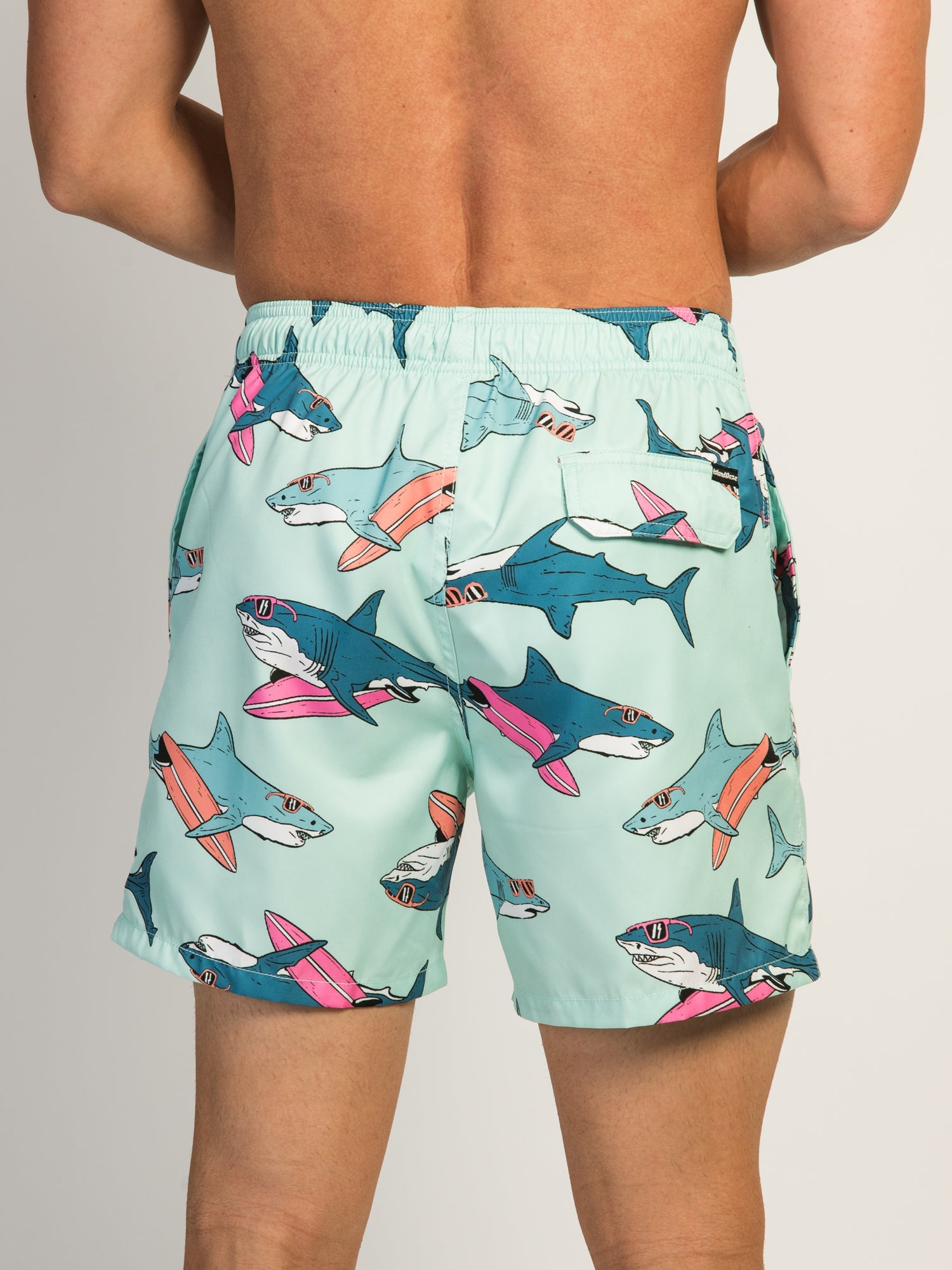 ISLAND HAZE SURFING SHARK 5IN VOLLEY SHORT - AQUA - Misc image 5