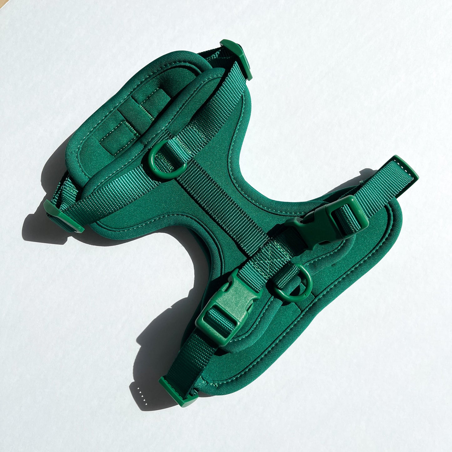 Green Harness and Leash Set - Furniture image 4