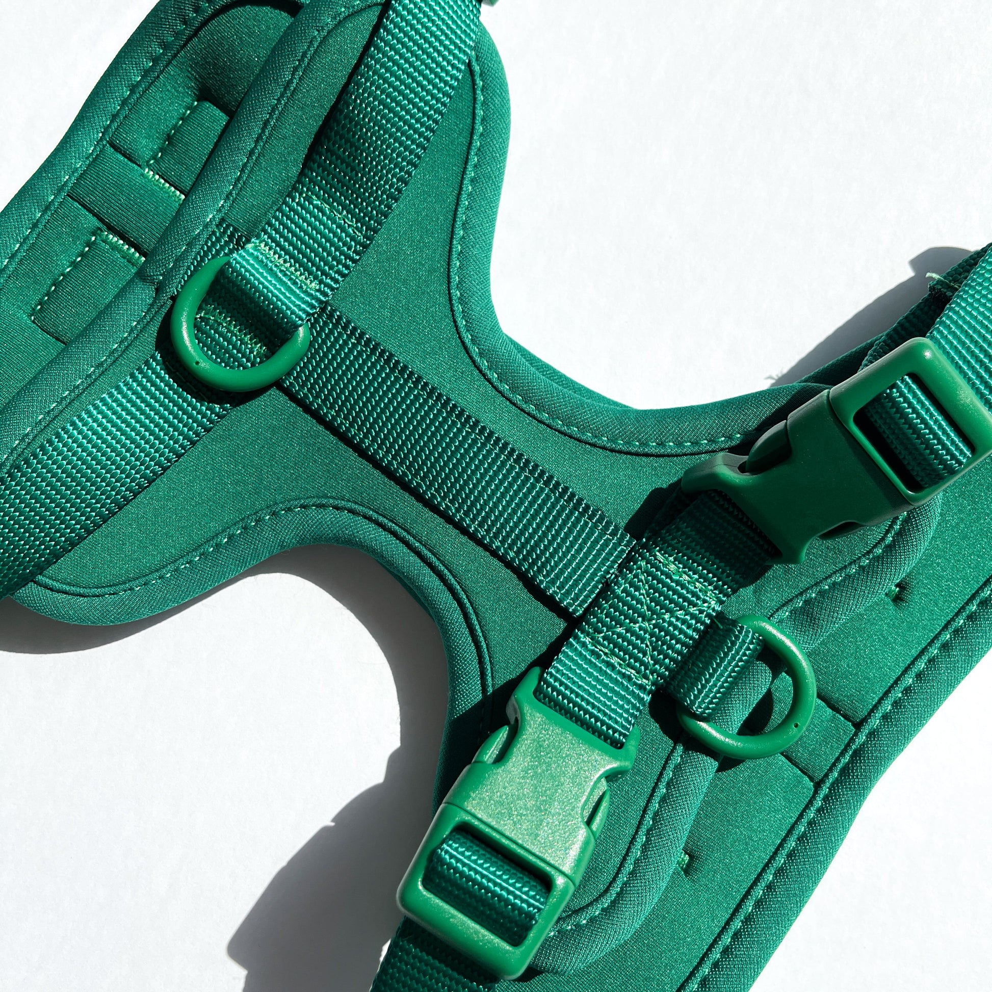 Green Harness and Leash Set - Furniture image 5