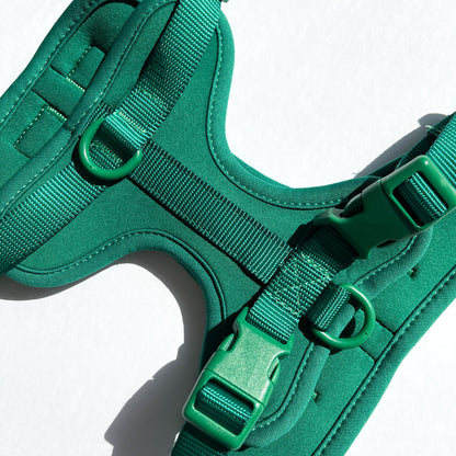 Green Harness and Leash Set - Furniture image 5