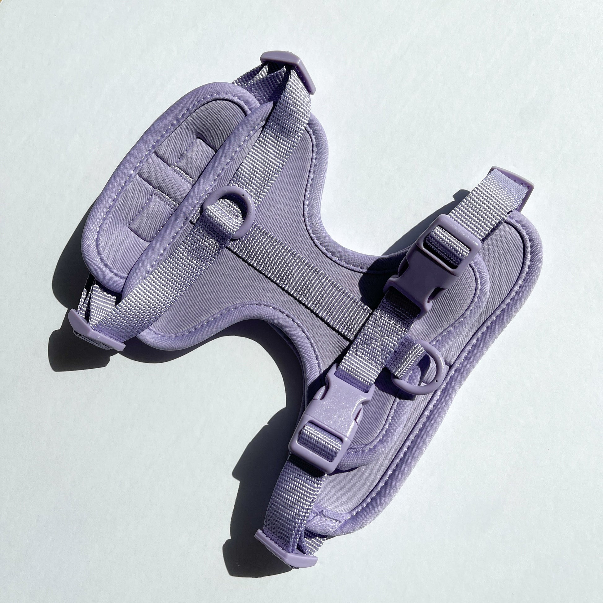 Lilac Harness and Leash Set - Furniture image 4