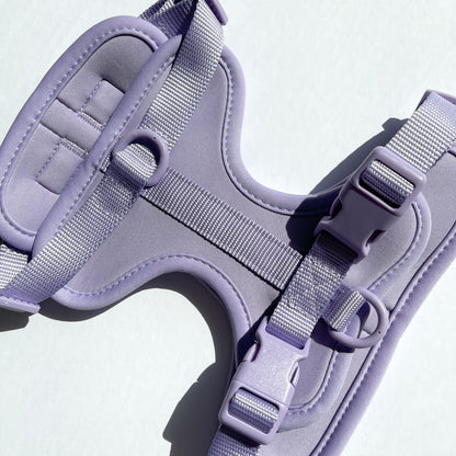 Lilac Harness and Leash Set - Furniture image 5