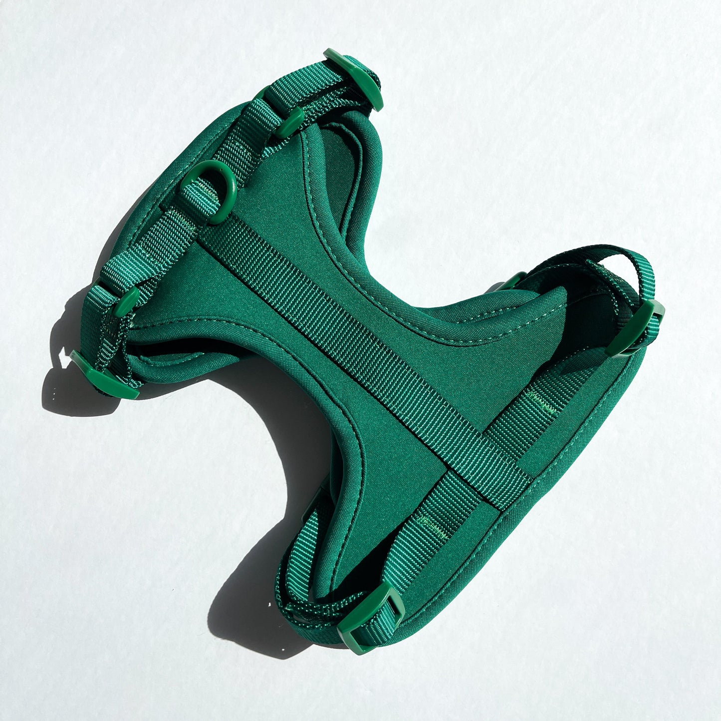 Green Harness and Leash Set - Furniture image 6