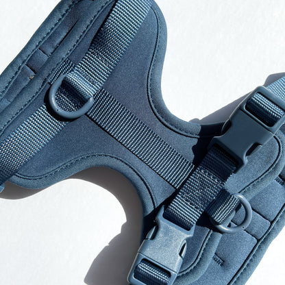 Navy Blue Harness and Leash Set - Furniture image 5