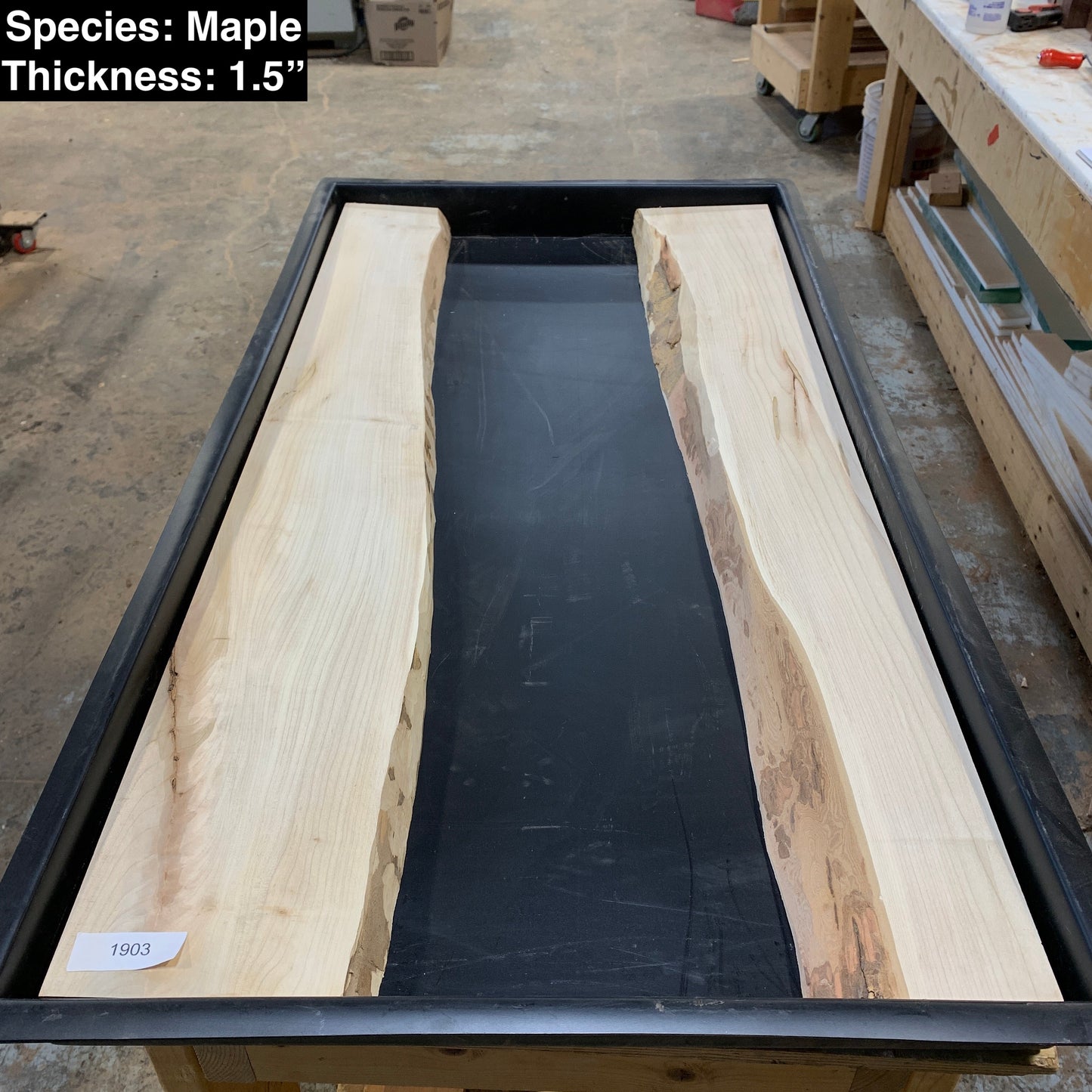 Mixed Species Collection (24"x48) - Kitchen & Dining image 1