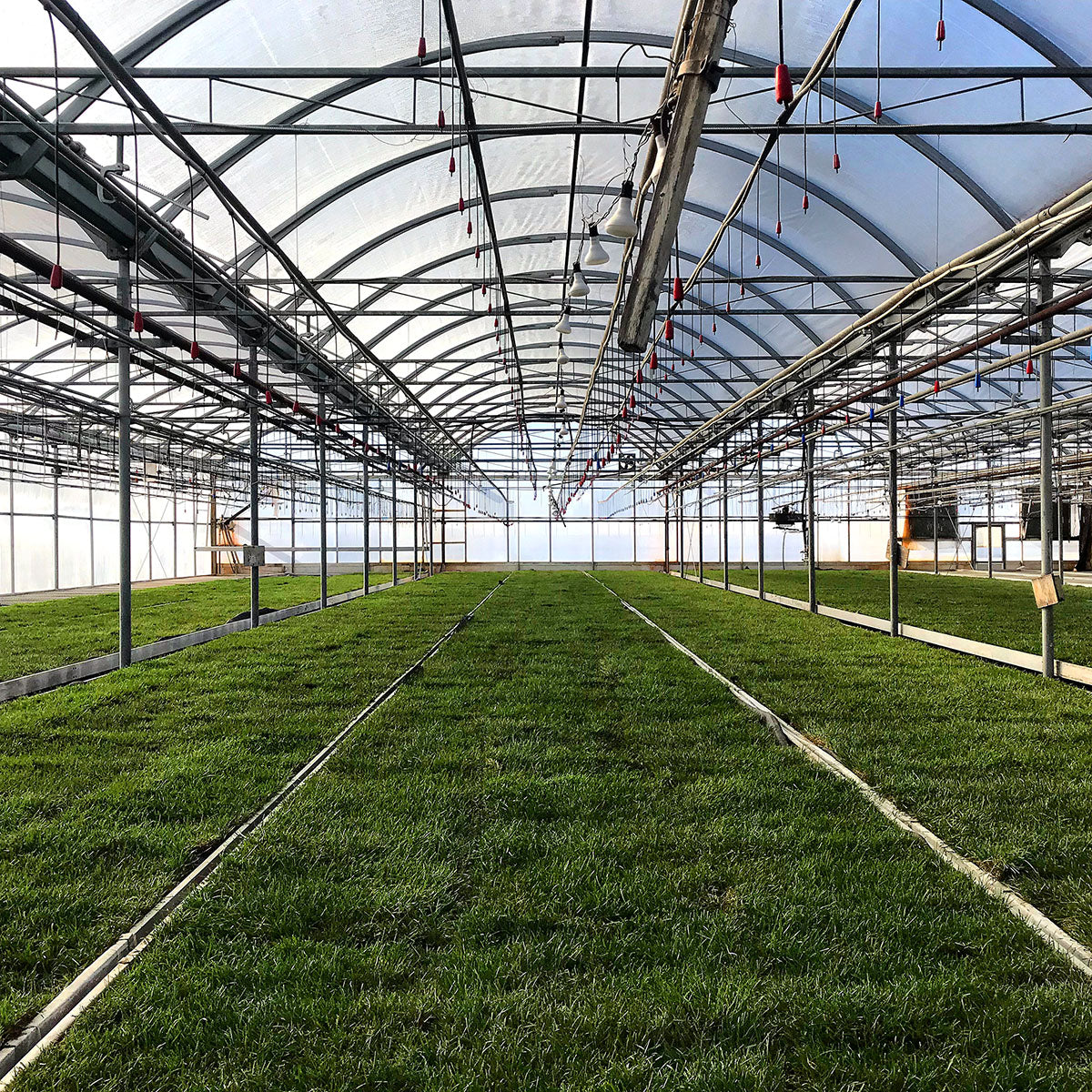 Regular Size - Kitchen & Dining image 4