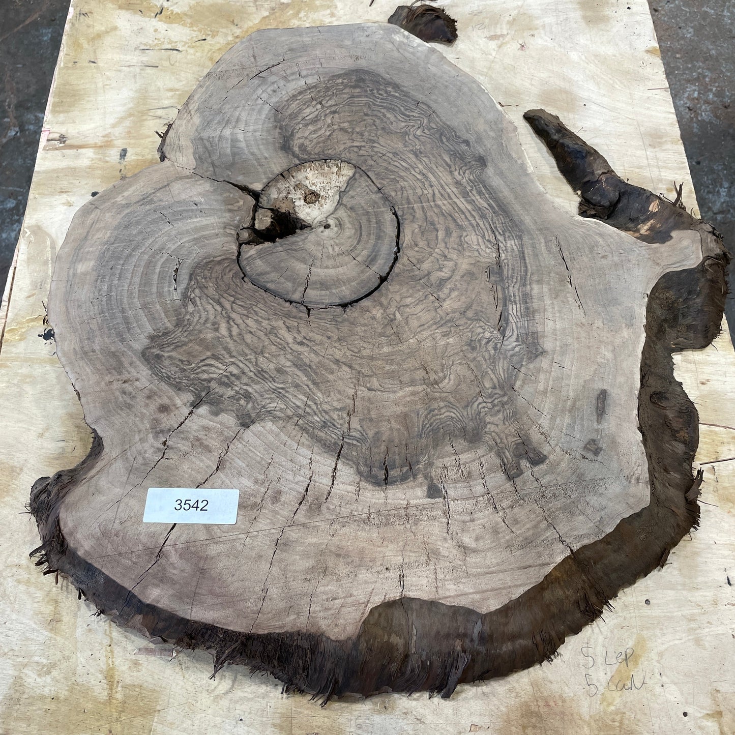 RARE Claro Walnut Burls - Kitchen & Dining image 1