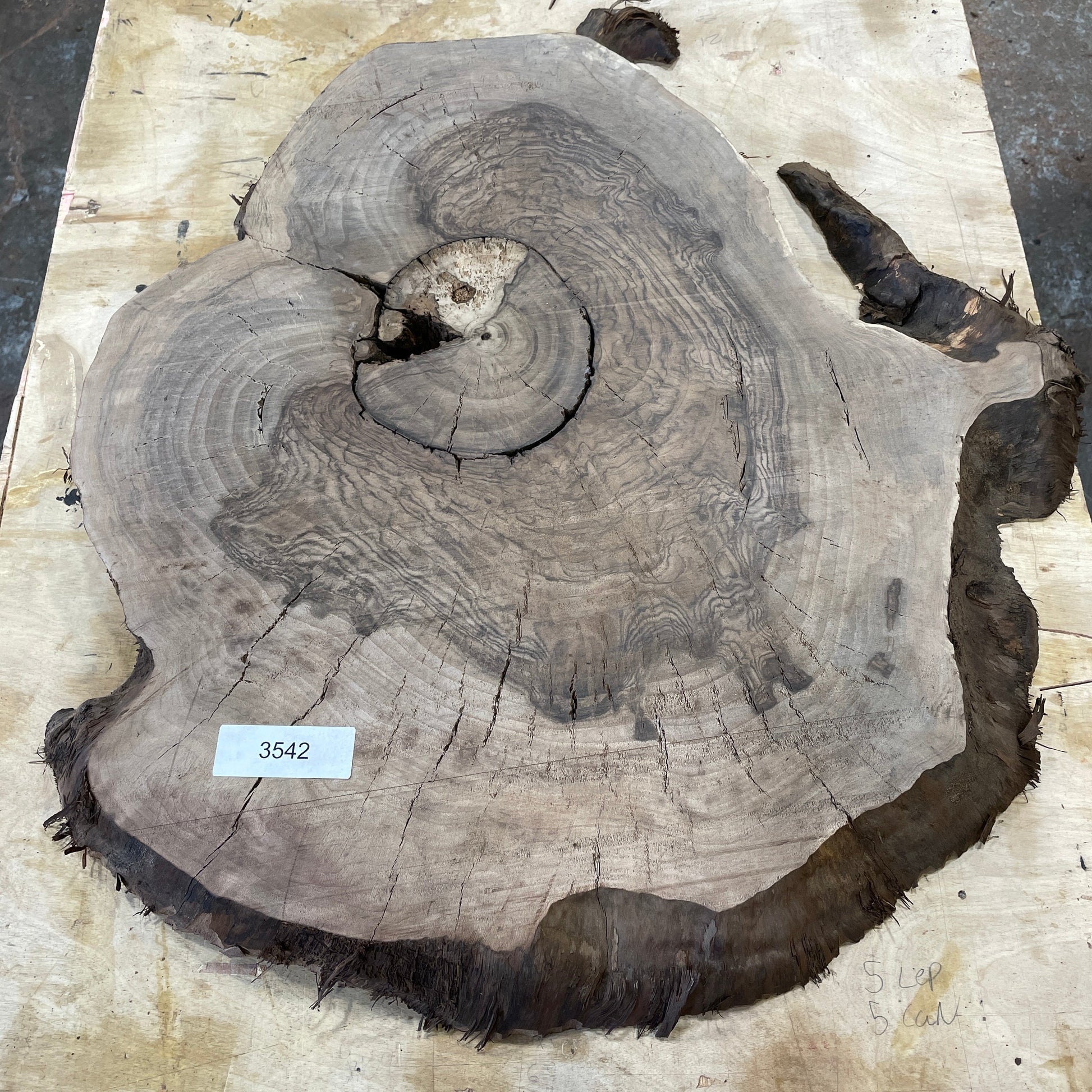 RARE Claro Walnut Burls - Kitchen & Dining image 1