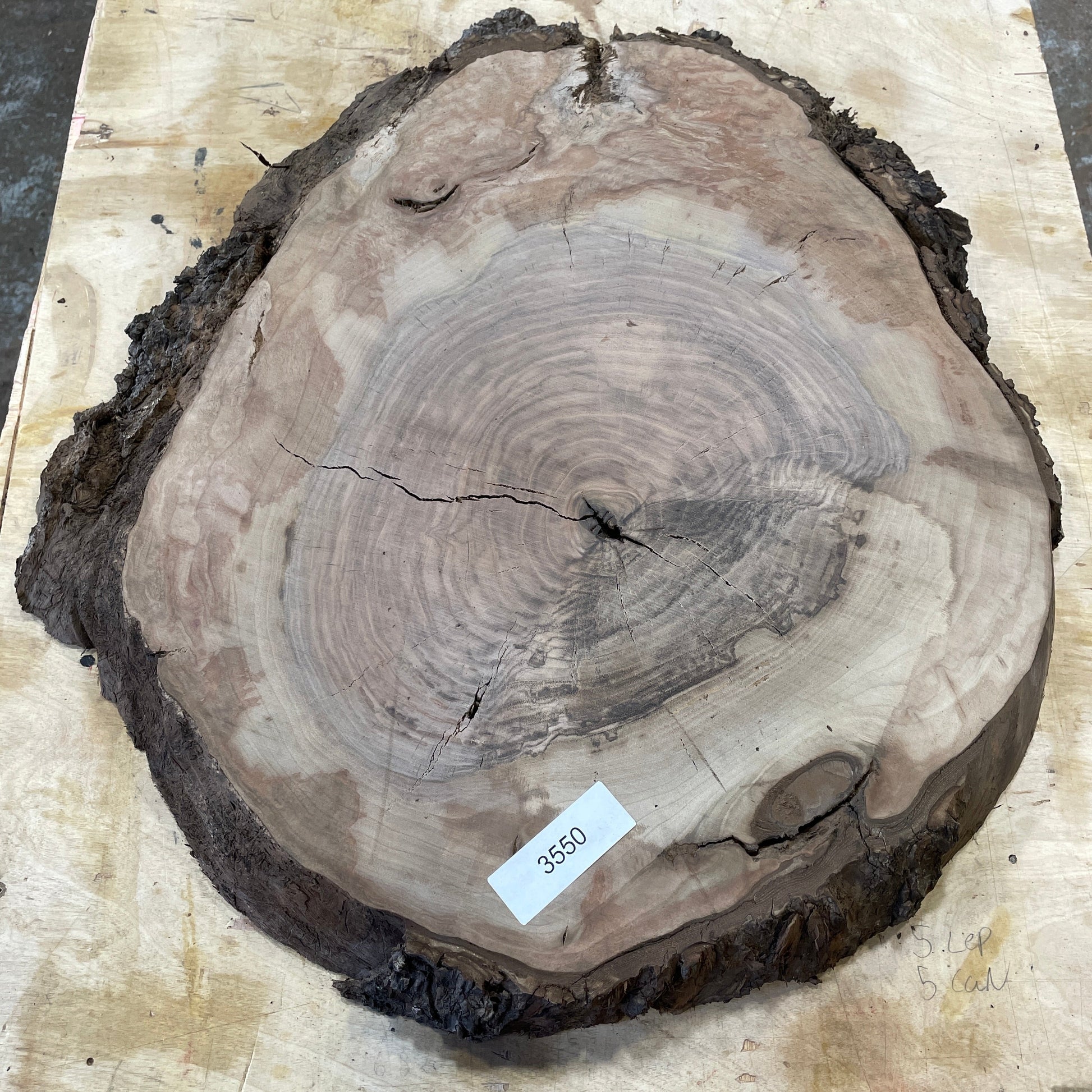 RARE Claro Walnut Burls - Kitchen & Dining image 2