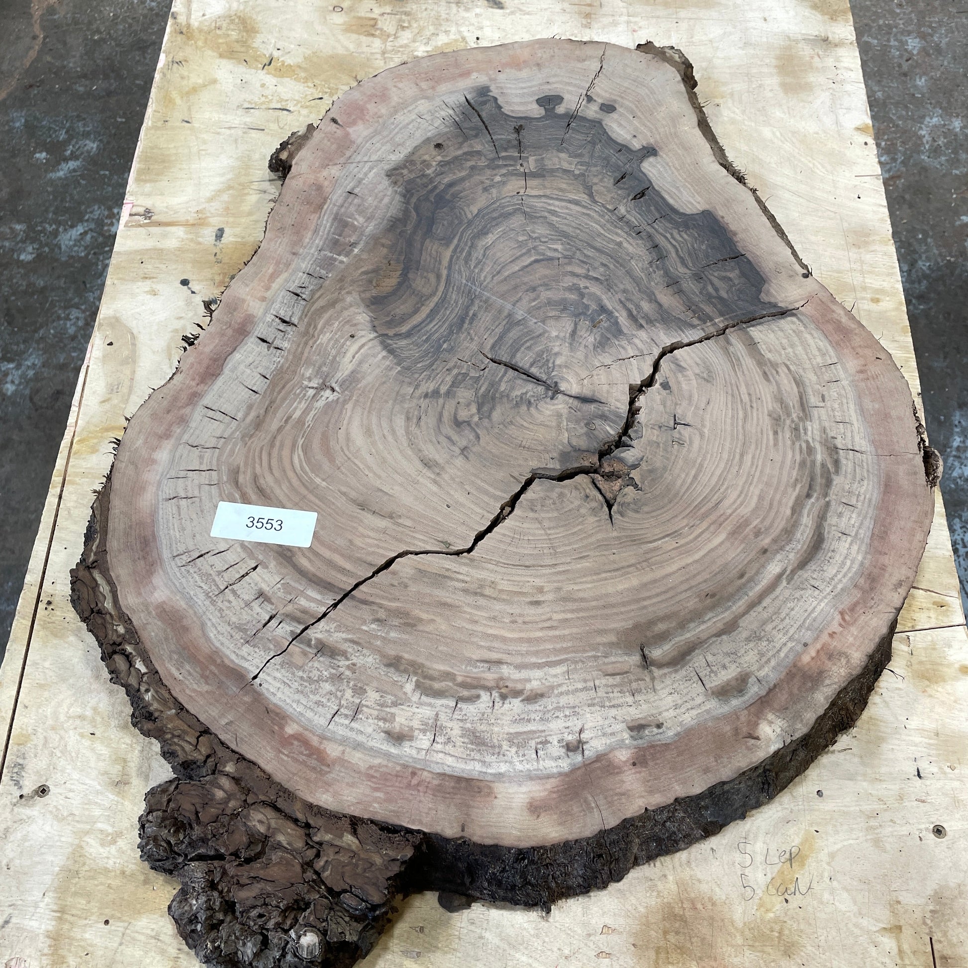 RARE Claro Walnut Burls - Kitchen & Dining image 3