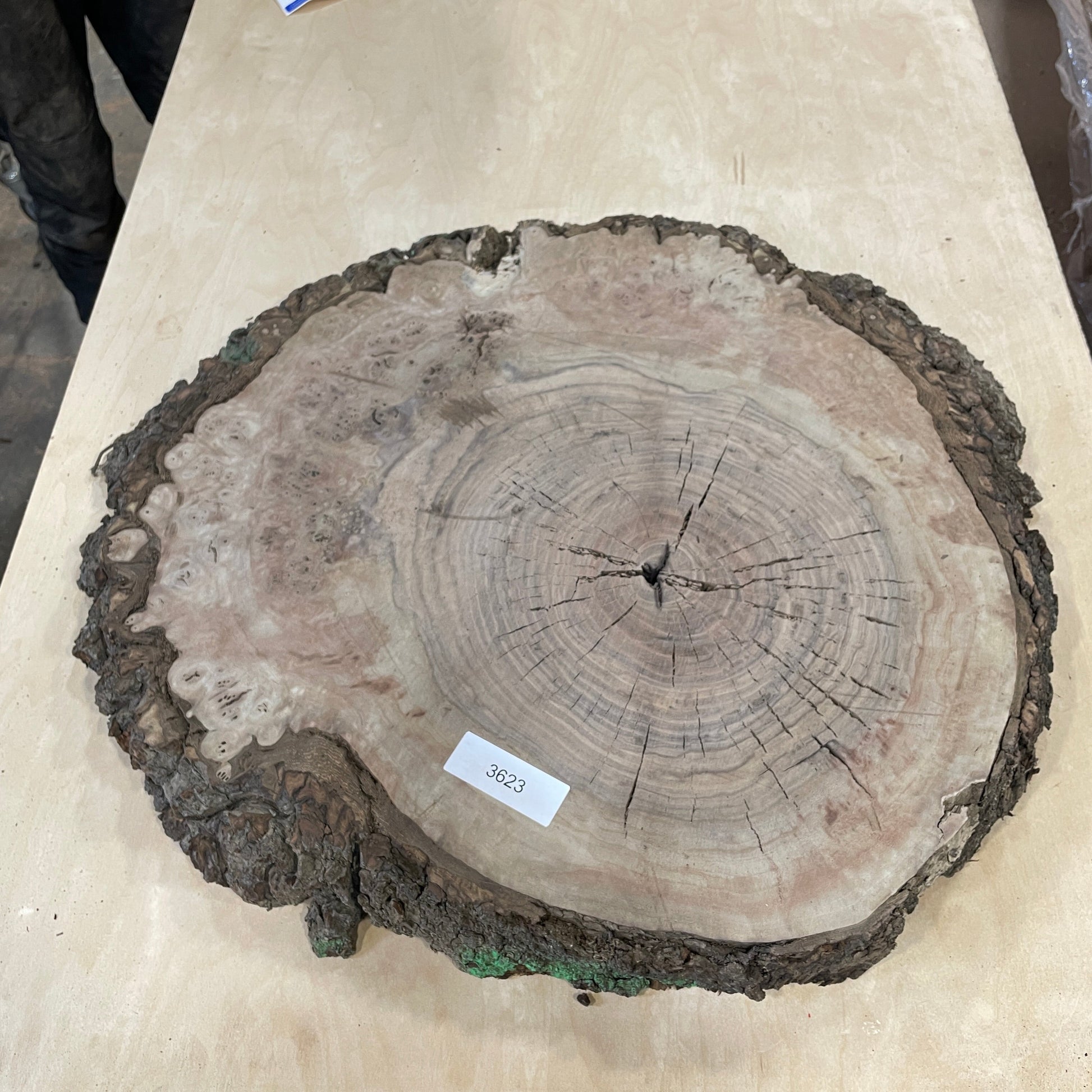 RARE Claro Walnut Burls - Kitchen & Dining image 4