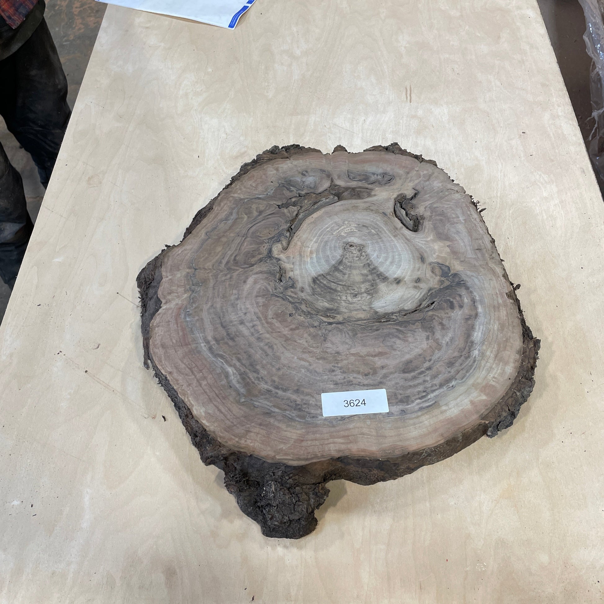 RARE Claro Walnut Burls - Kitchen & Dining image 5