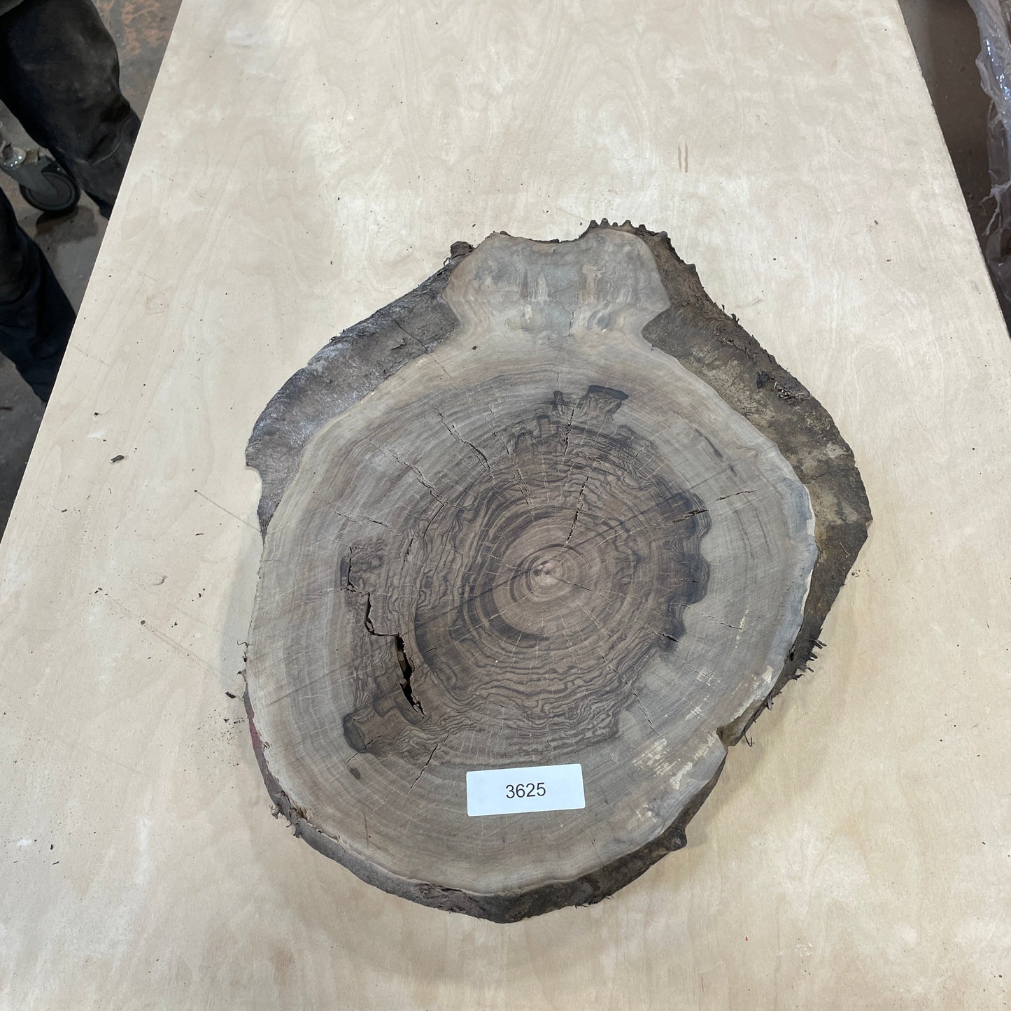 RARE Claro Walnut Burls - Kitchen & Dining image 6