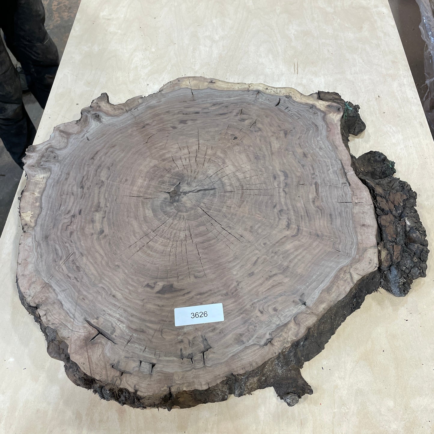 RARE Claro Walnut Burls - Kitchen & Dining image 7